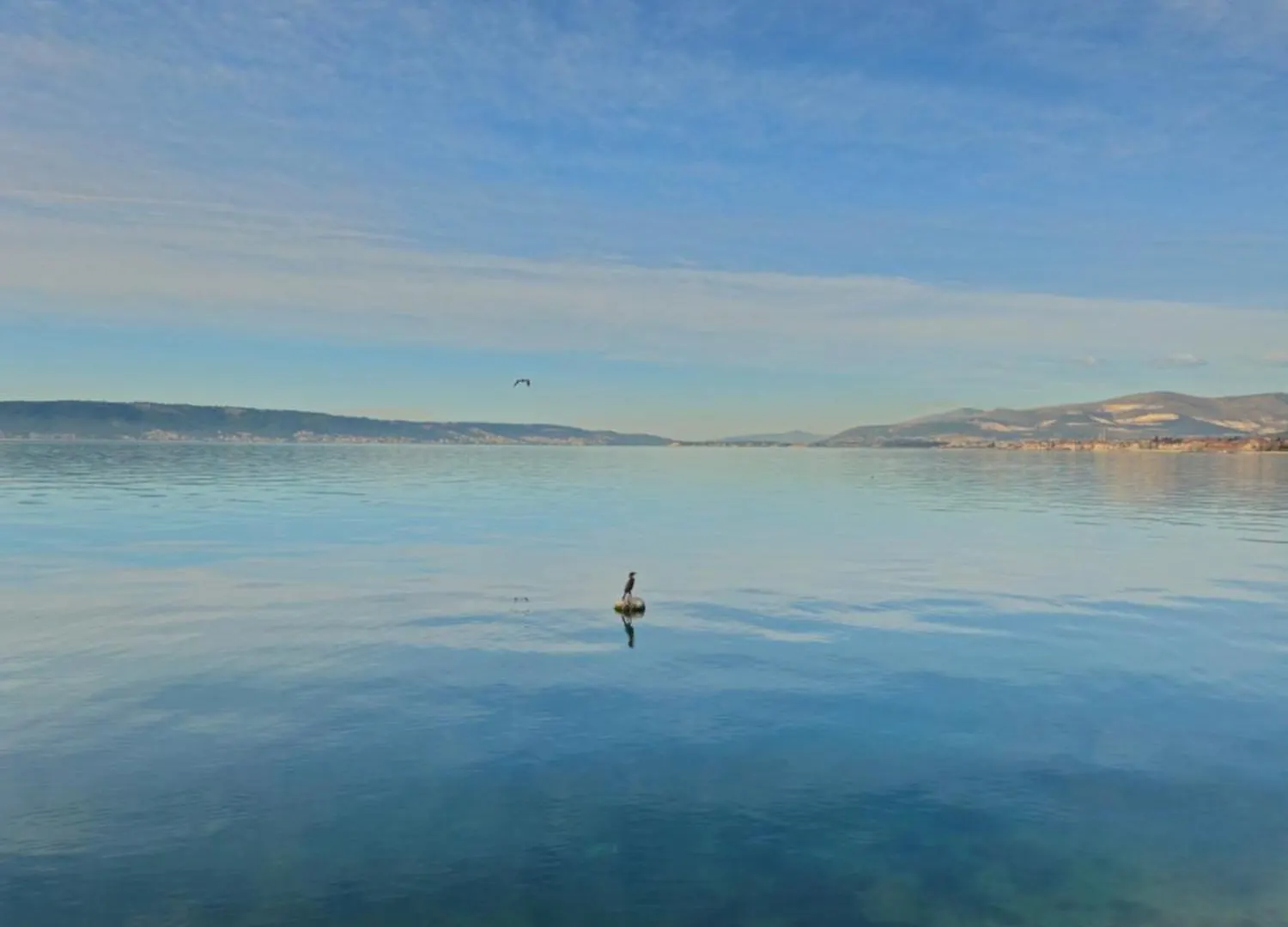 By Osibov Silverfish & Goldenfish Apartment Kastela Croatia